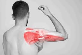 Récupération musculaire